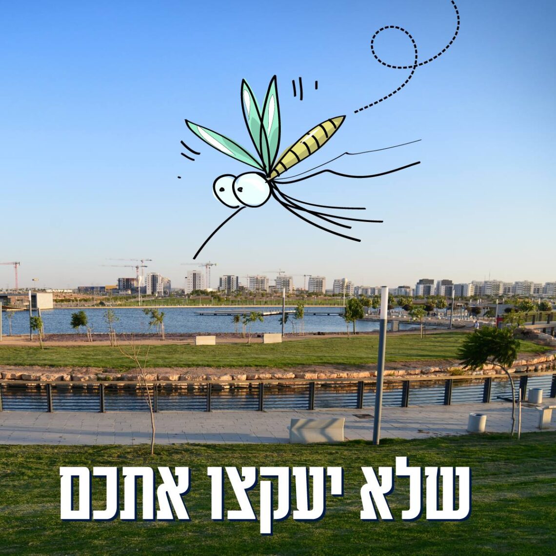 יתושים בבאר שבע