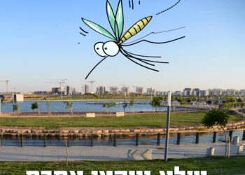 יתושים בבאר שבע