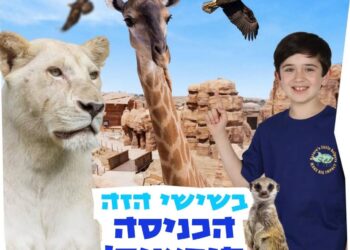 מידבריום