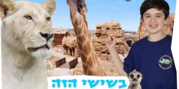 מידבריום