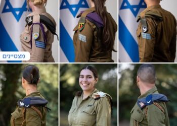 מצטייני הנשיא והדגלנים