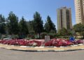 שתילת פרחים בבאר שבע - צילום מתוך רשת חברתית על פי סעיף 27א לחוק זכויות יוצרים