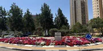 שתילת פרחים בבאר שבע - צילום מתוך רשת חברתית על פי סעיף 27א לחוק זכויות יוצרים