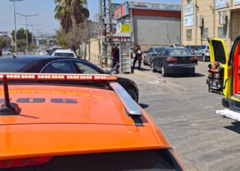 קרדיט דוברות איחוד הצלה און ליין