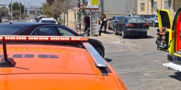 קרדיט דוברות איחוד הצלה און ליין