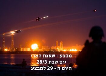מבצע שאגת הארי יום שבת היום ה - 29 למבצע