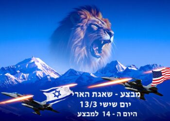מבצע שאגת הארי יום שישי היום ה - 14 למבצע