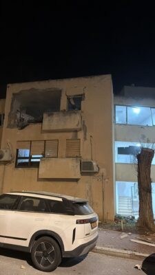 פגיעה בנשר