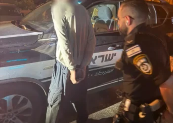 המעצר צילום- דוברות המשטרה